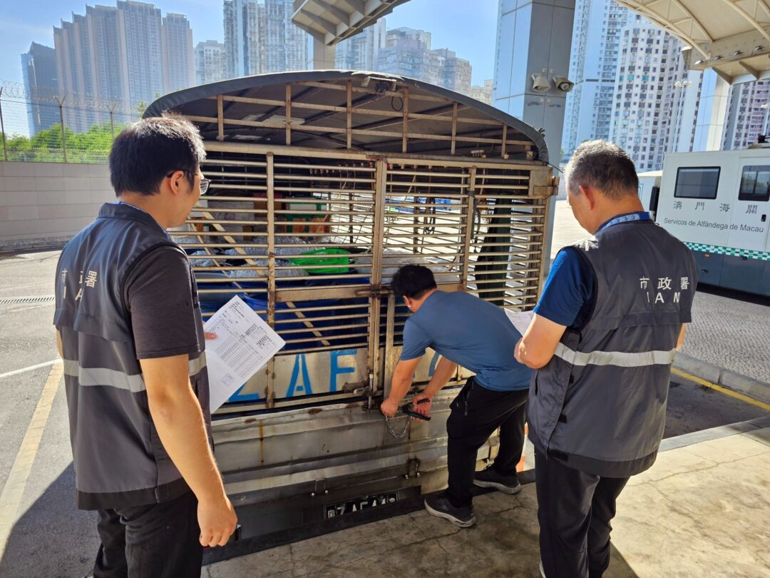 首批透過“檢疫前推，合作監管”模式的食用水生動物順利到達本澳。