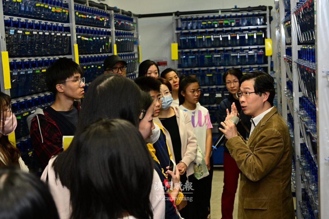 斑馬魚研究講解