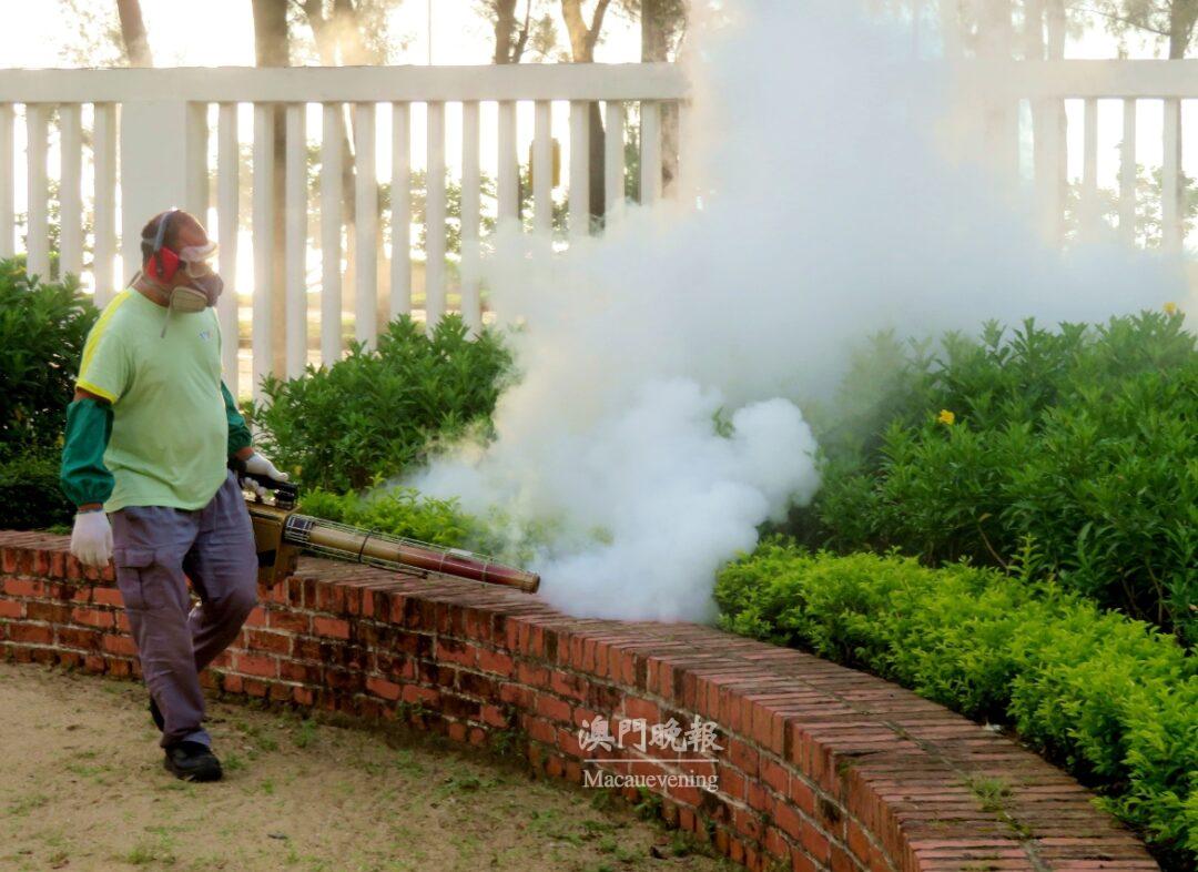 在早上六時至九時或黃昏五時至八時之間，安排人員滅蚊