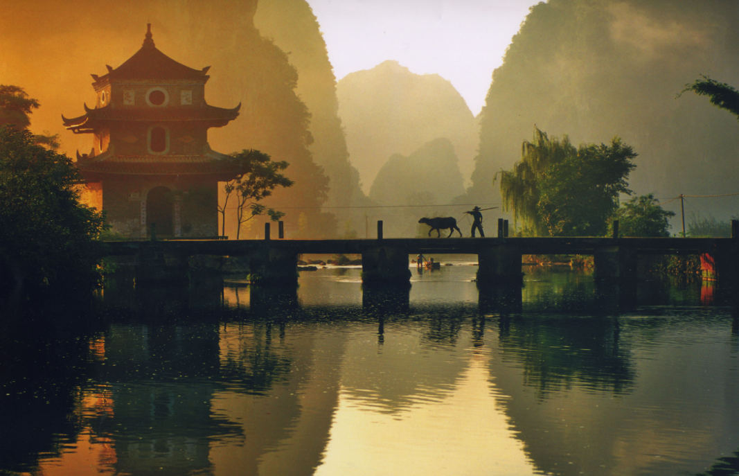 20241224 111631 20241224 111631